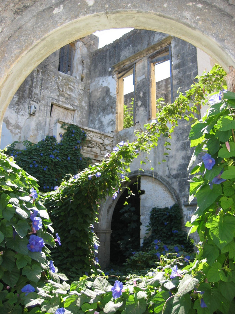 Leben in der Ruine