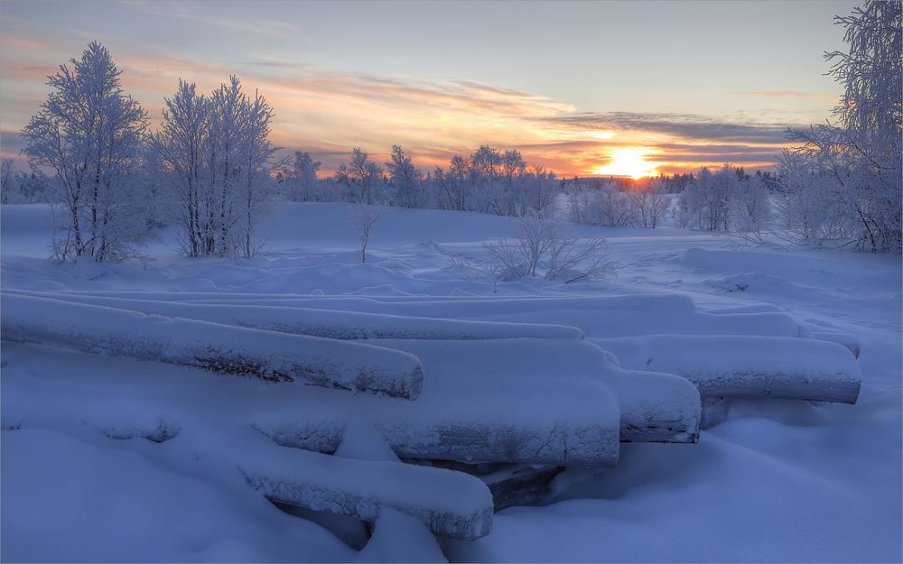 Leben in der Tundra