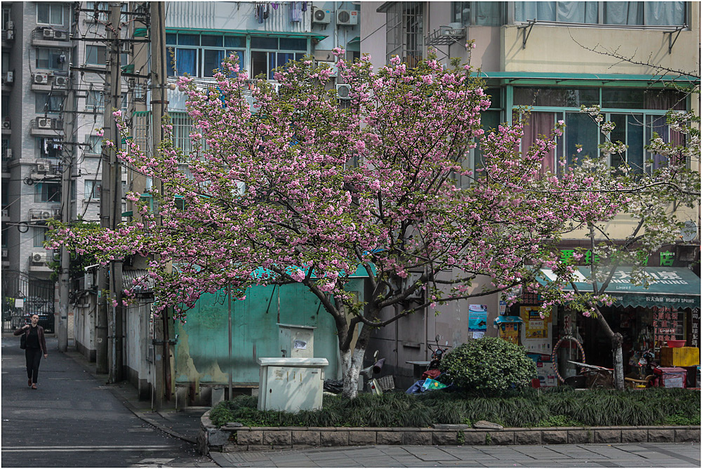 ... Leben in Hangzhou ...