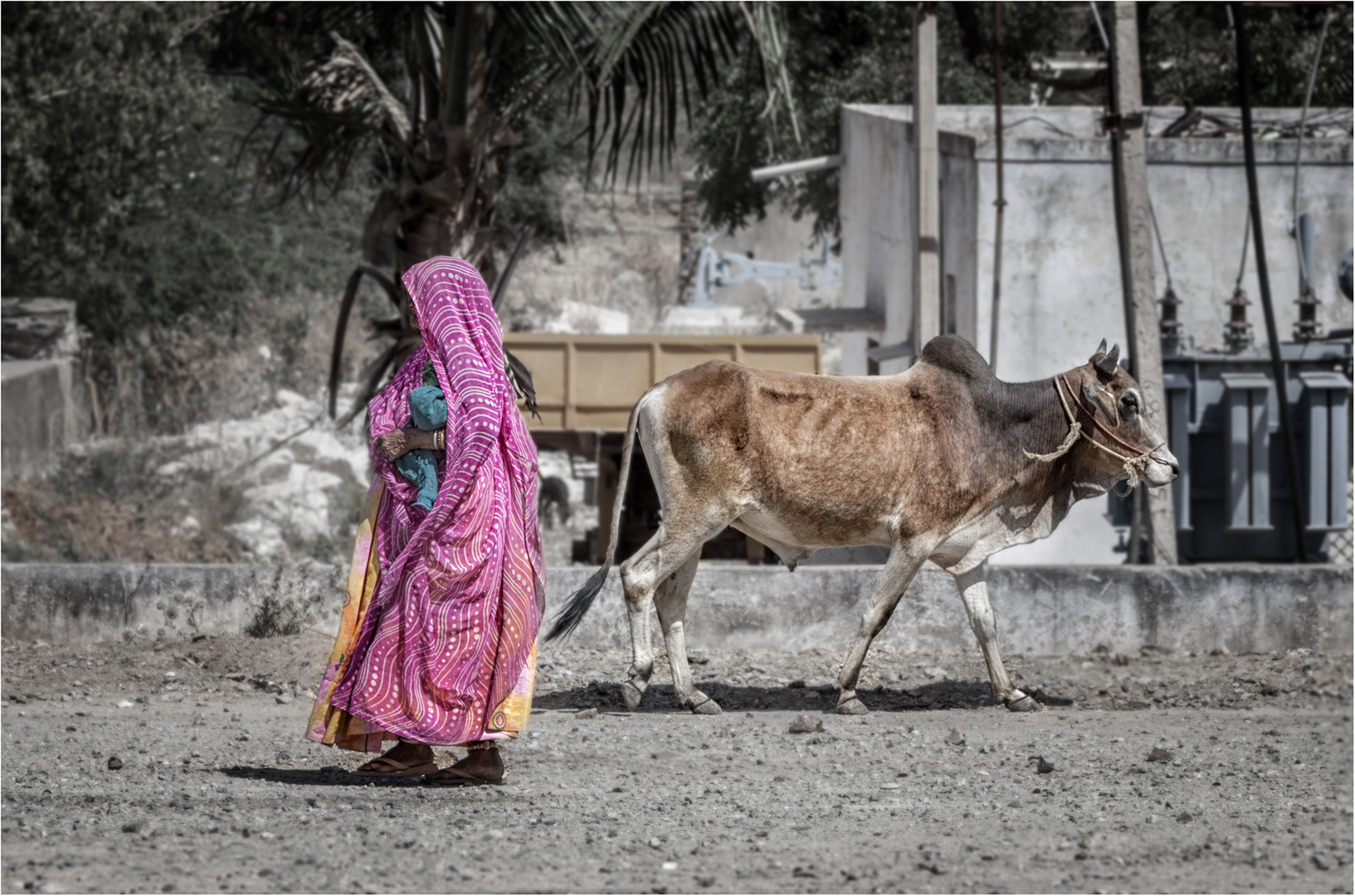 Leben In Indien Foto Bild Street World Asien Bilder Auf Fotocommunity