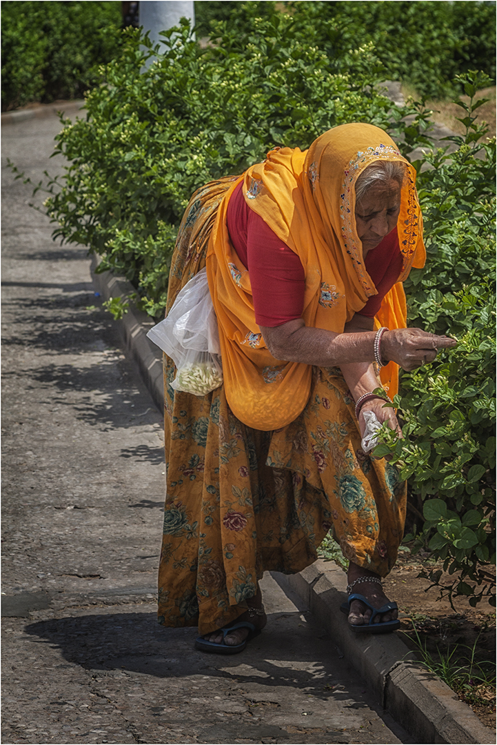 ... Leben in Jaipur 12 ..