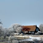 Leben in Mecklenburg