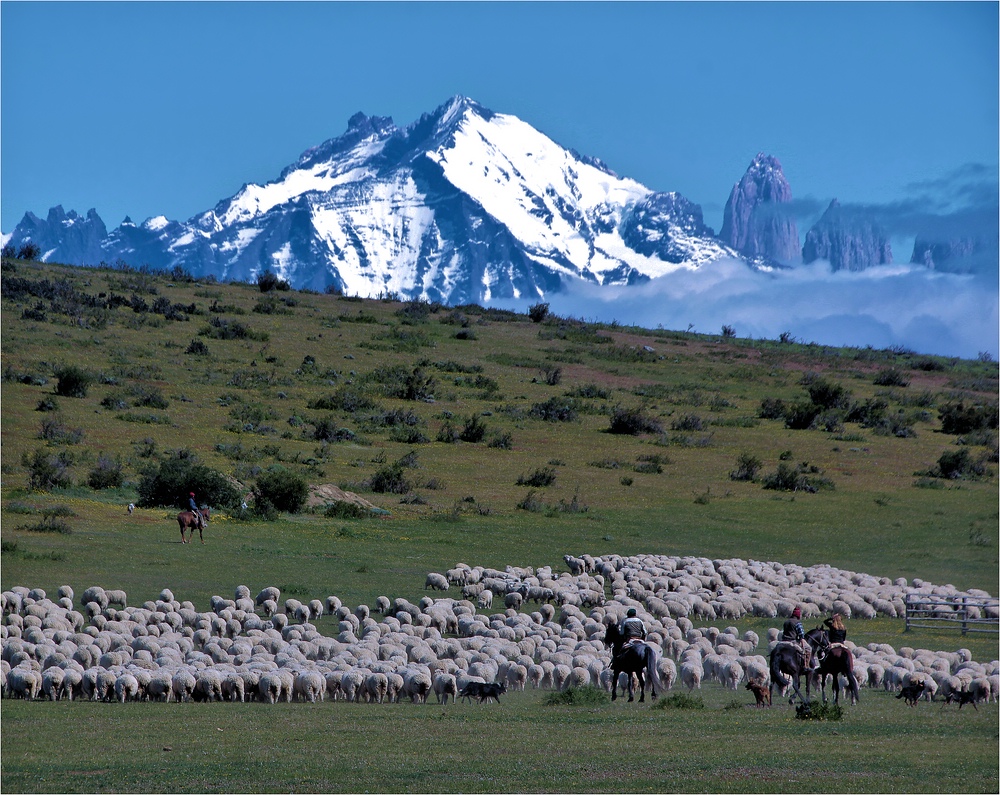 LEBEN IN PATAGONIEN