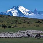 LEBEN IN PATAGONIEN