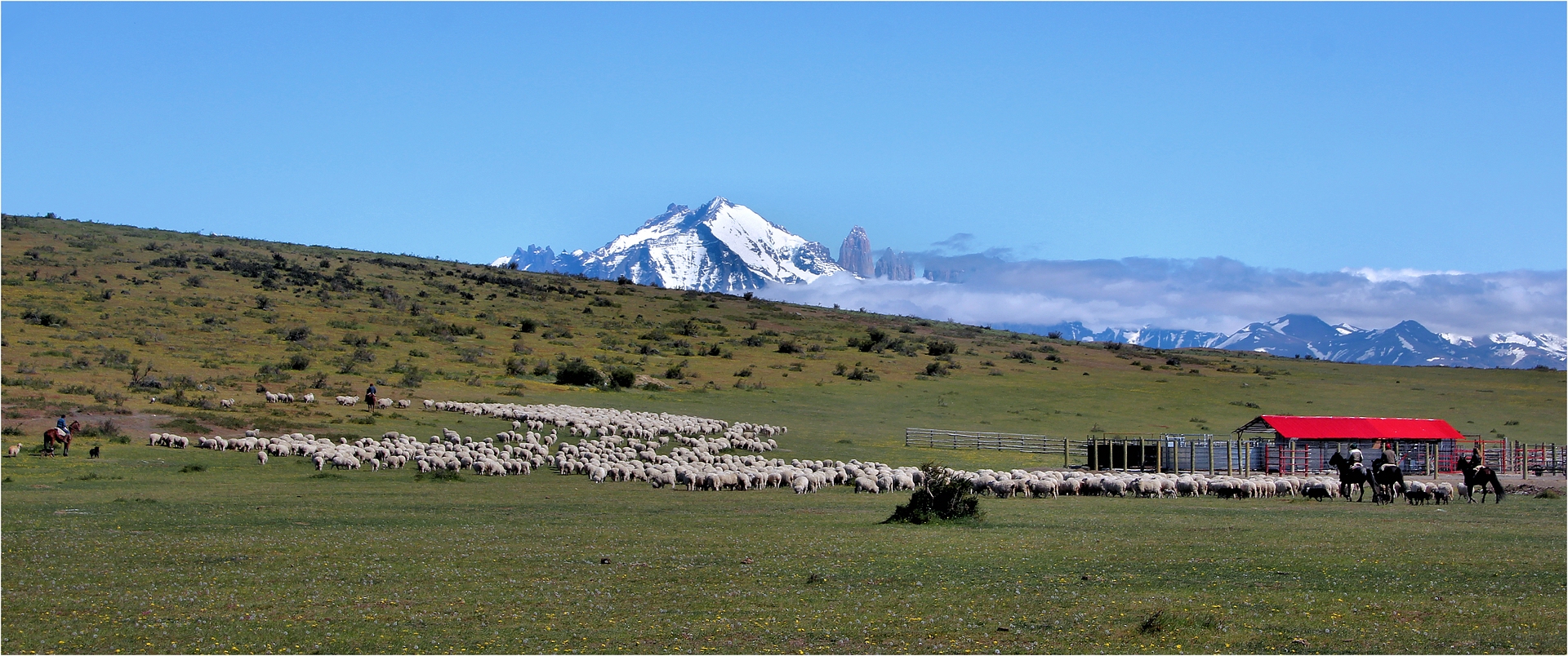 LEBEN IN PATAGONIEN