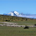 LEBEN IN PATAGONIEN