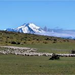 LEBEN IN PATAGONIEN