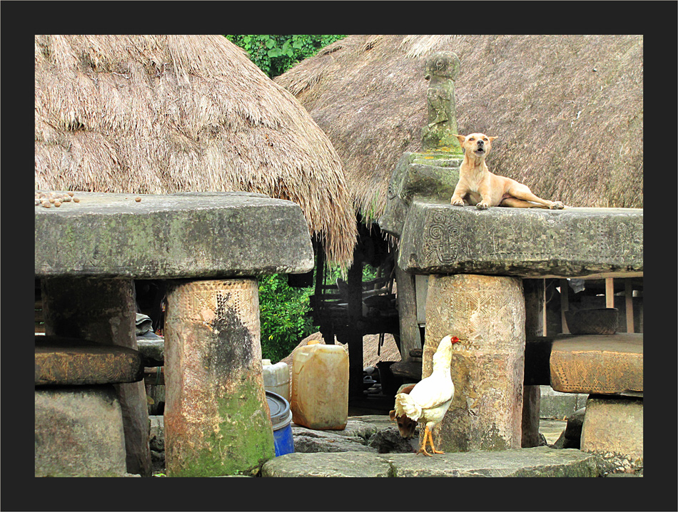 Leben in Tarung