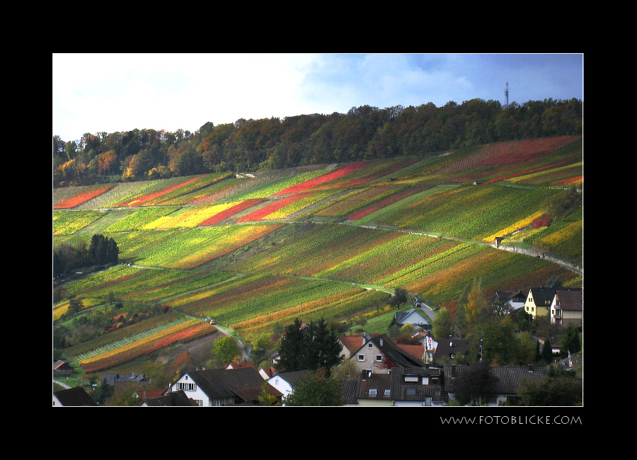 Leben inmitten der Weinberge