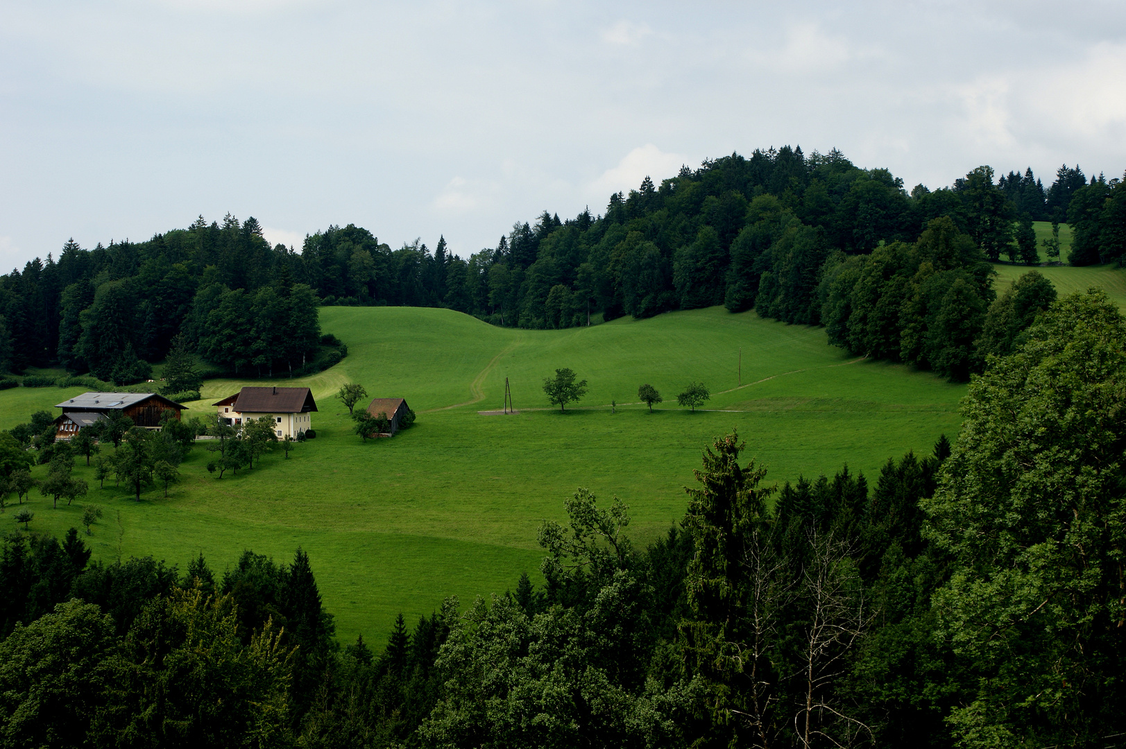 Leben *in*und mit der Natur