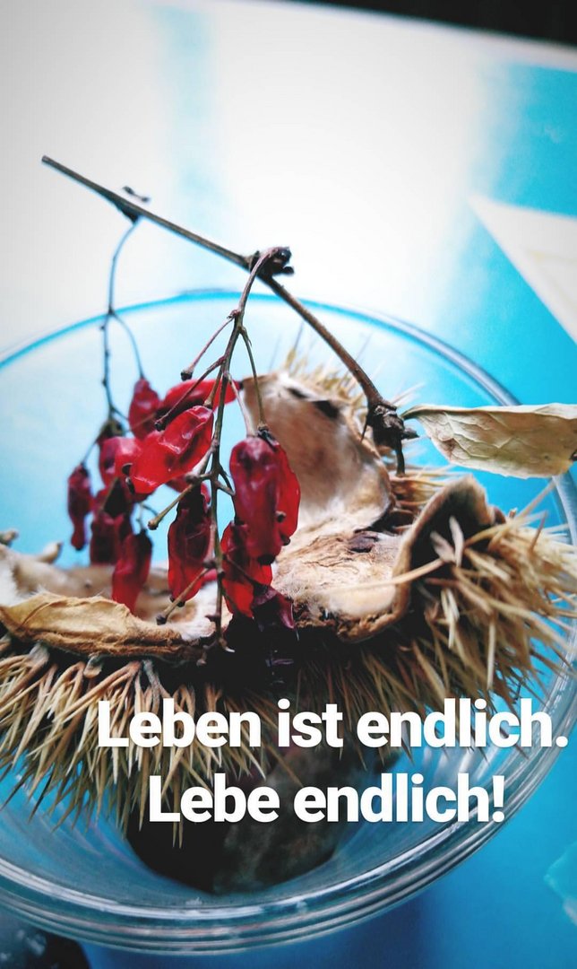 Leben ist endlich.. 