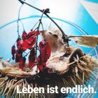 Leben ist endlich.. 