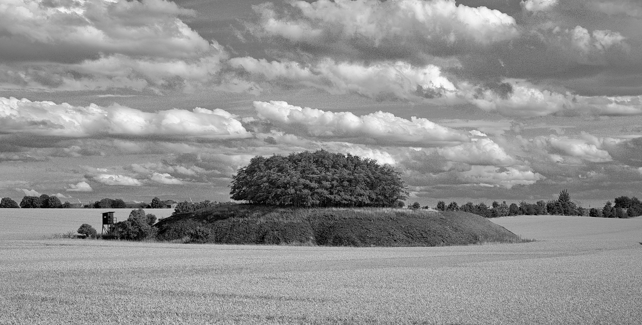 Leben kehrt zurück - Altbergbauhalde im Mansfelder Land