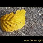 Leben leben