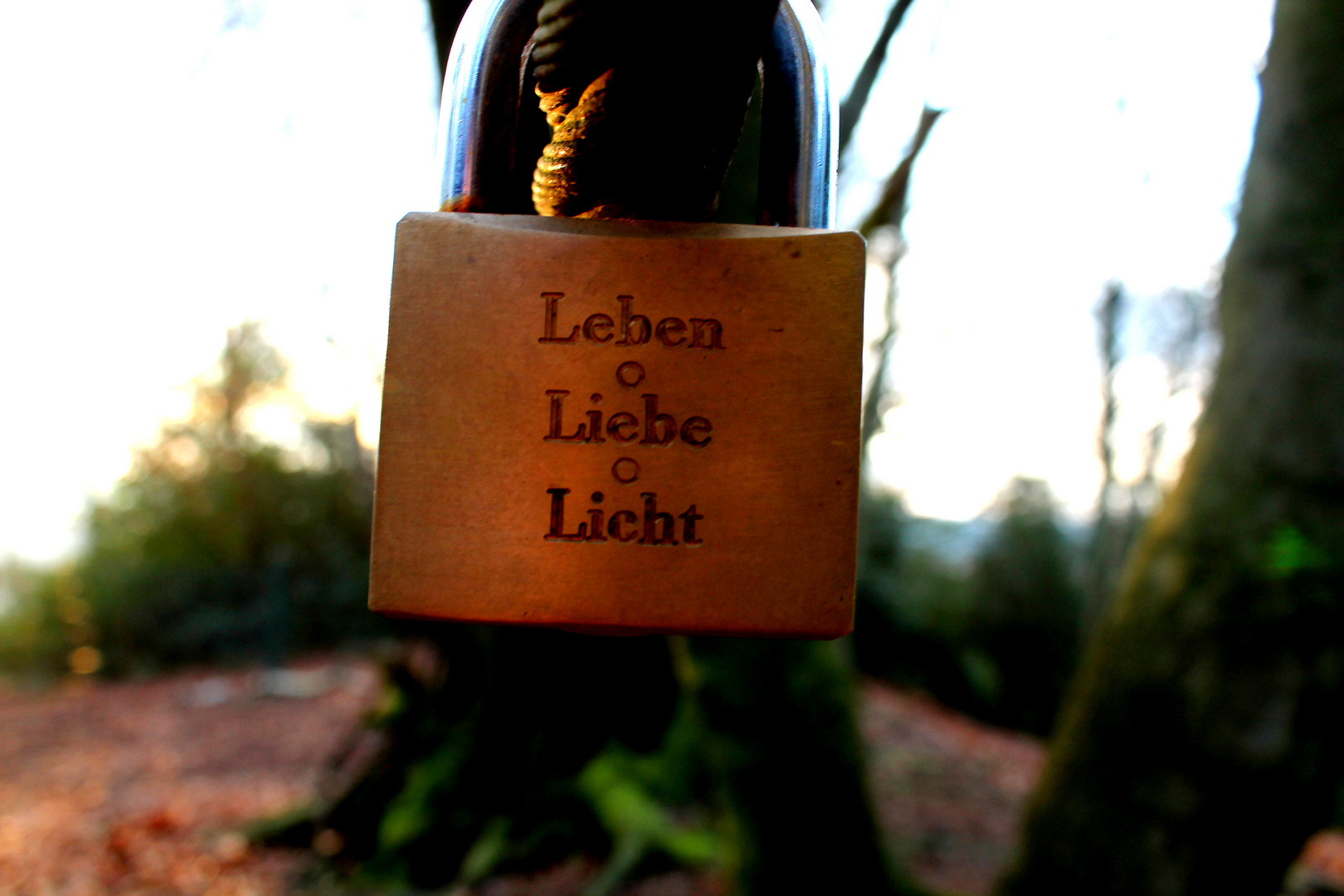 Leben Liebe Licht Foto & Bild emotionen, liebe, schloß Bilder auf