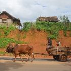 Leben Madagascar 