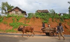 Leben Madagascar 