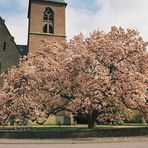 Leben mit dem Braunkohletagebau: Die Blüte kommt vor dem Fall