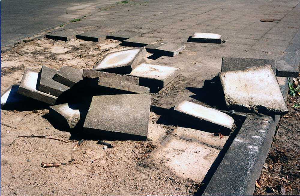 Leben mit dem Braunkohletagebau: Fleddern bei lebendigem Leib