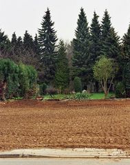 Leben mit dem Braunkohletagebau: "Ich war ein Hausgarten"