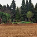 Leben mit dem Braunkohletagebau: "Ich war ein Hausgarten"