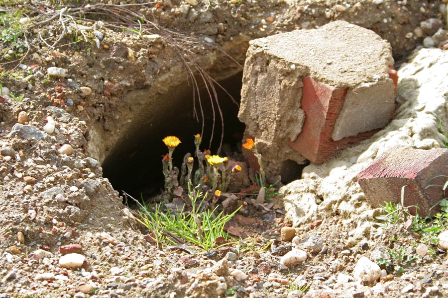 Leben mit dem Braunkohletagebau: Keine Höhle bietet mehr Schutz vor der Aushöhlung