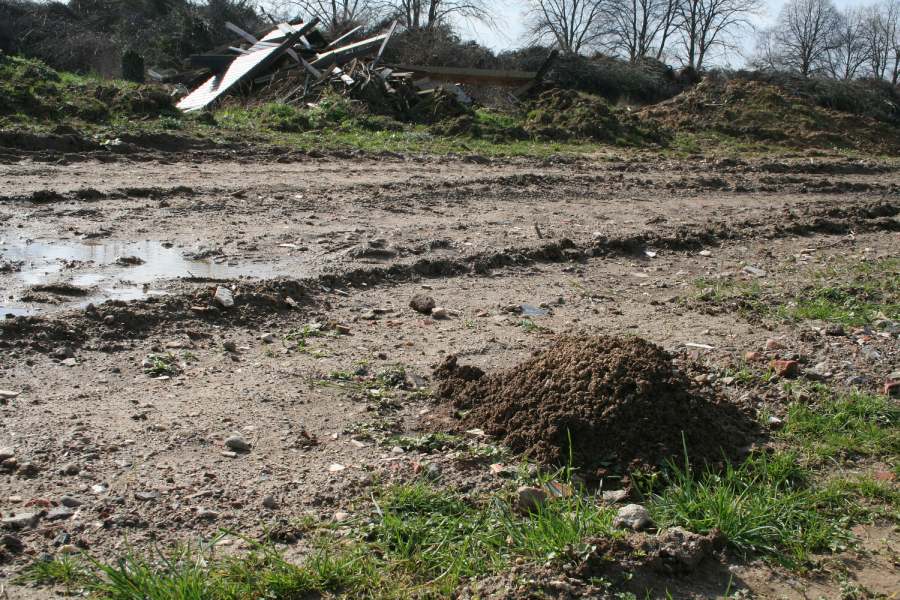 Leben mit dem Braunkohletagebau: Schlechte Zeiten für das Leben im Untergrund