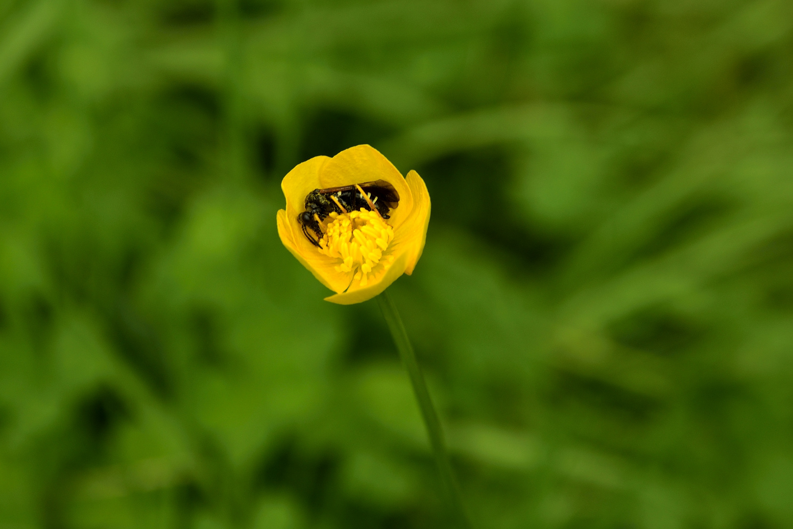 Leben und Leben lassen