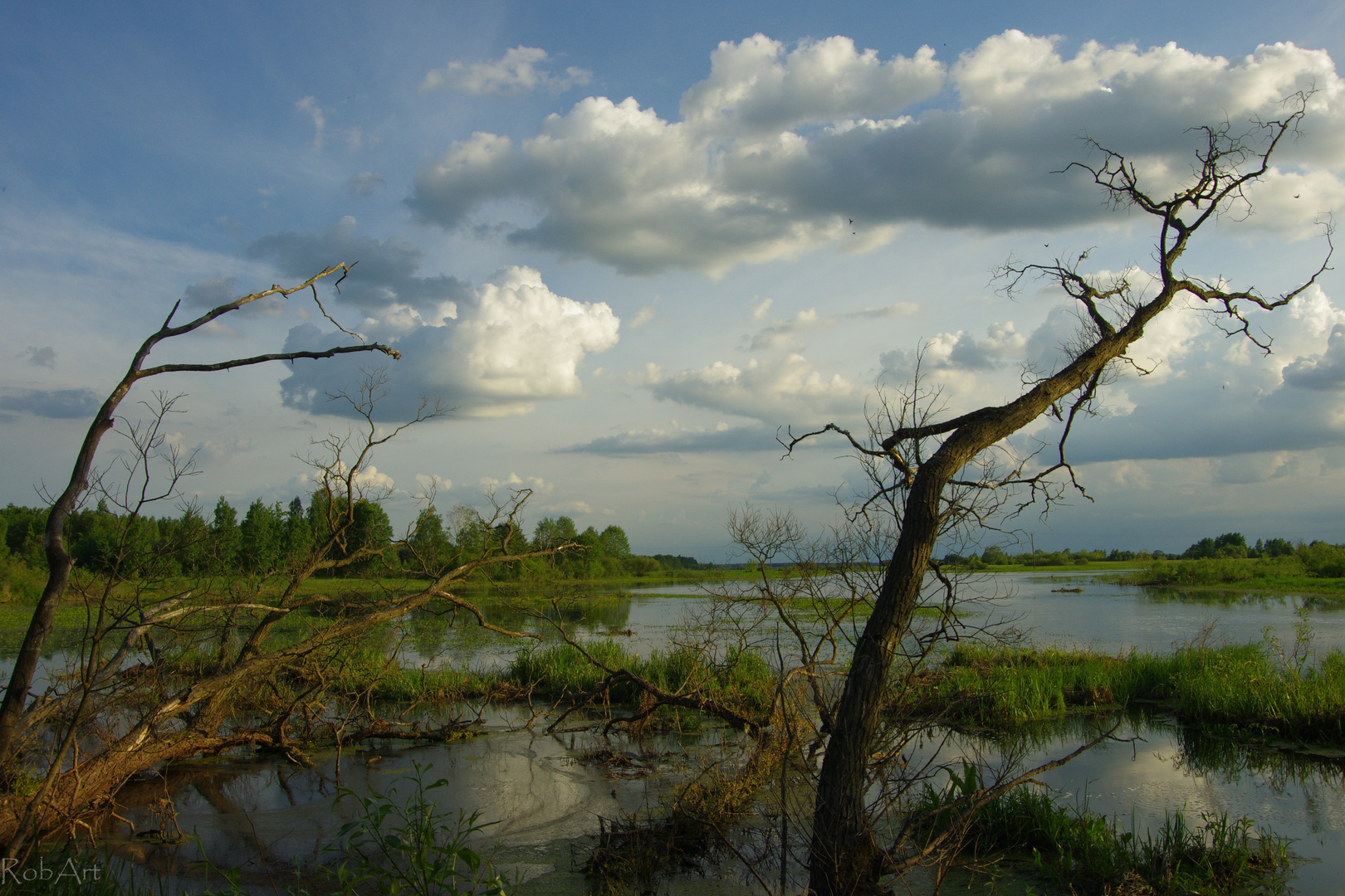 Leben und Sterben am Narew