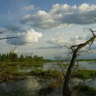 Leben und Sterben am Narew