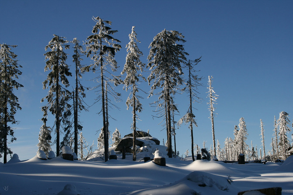 Leben und Sterben Dreisesselberg