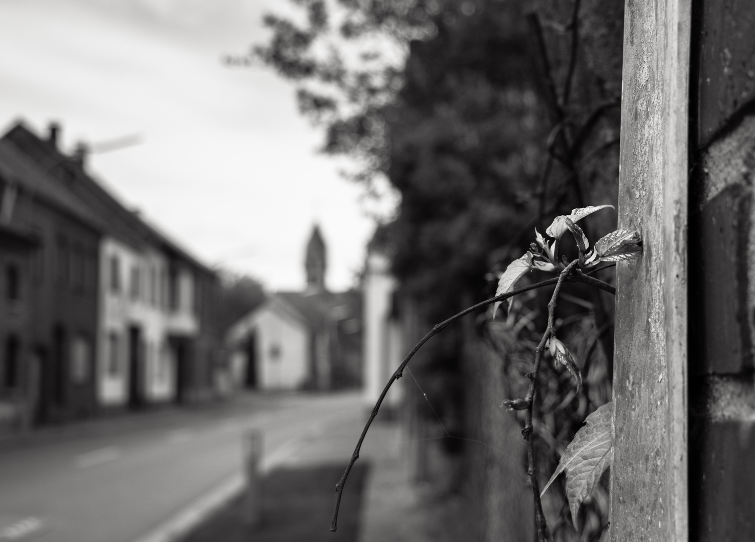 Leben und Sterben eines Dorfes - Immerath