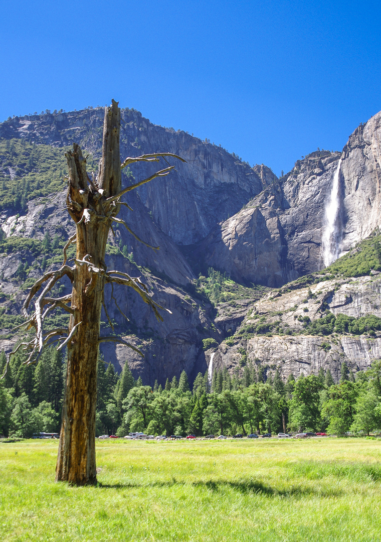 Leben und Sterben im Nationalpark