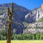 Leben und Sterben im Nationalpark