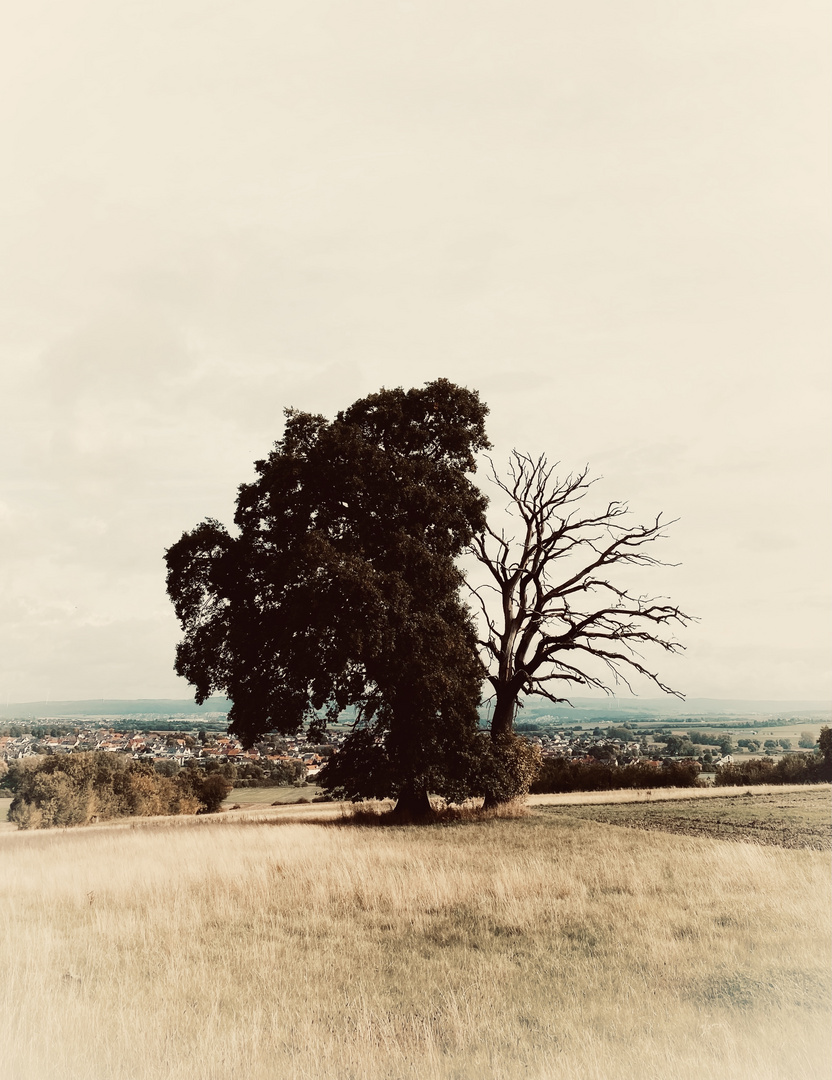 Leben und Tod