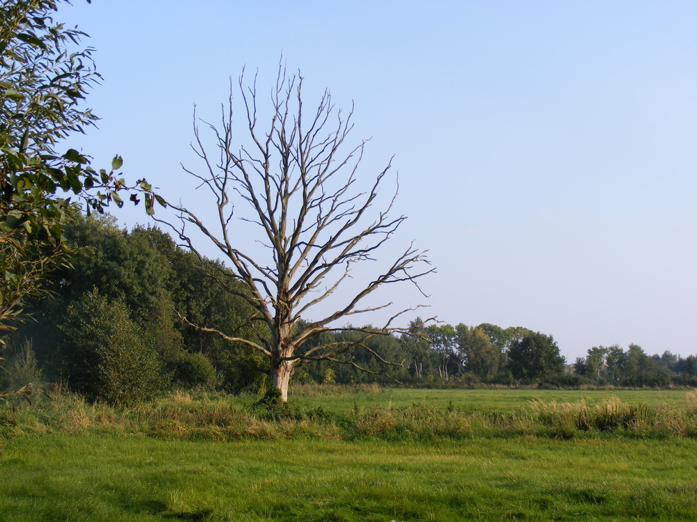 Leben und Tod