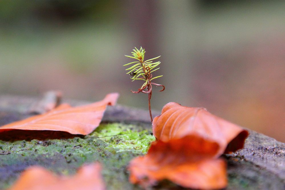 Leben und Tod