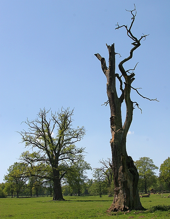 Leben und Tod