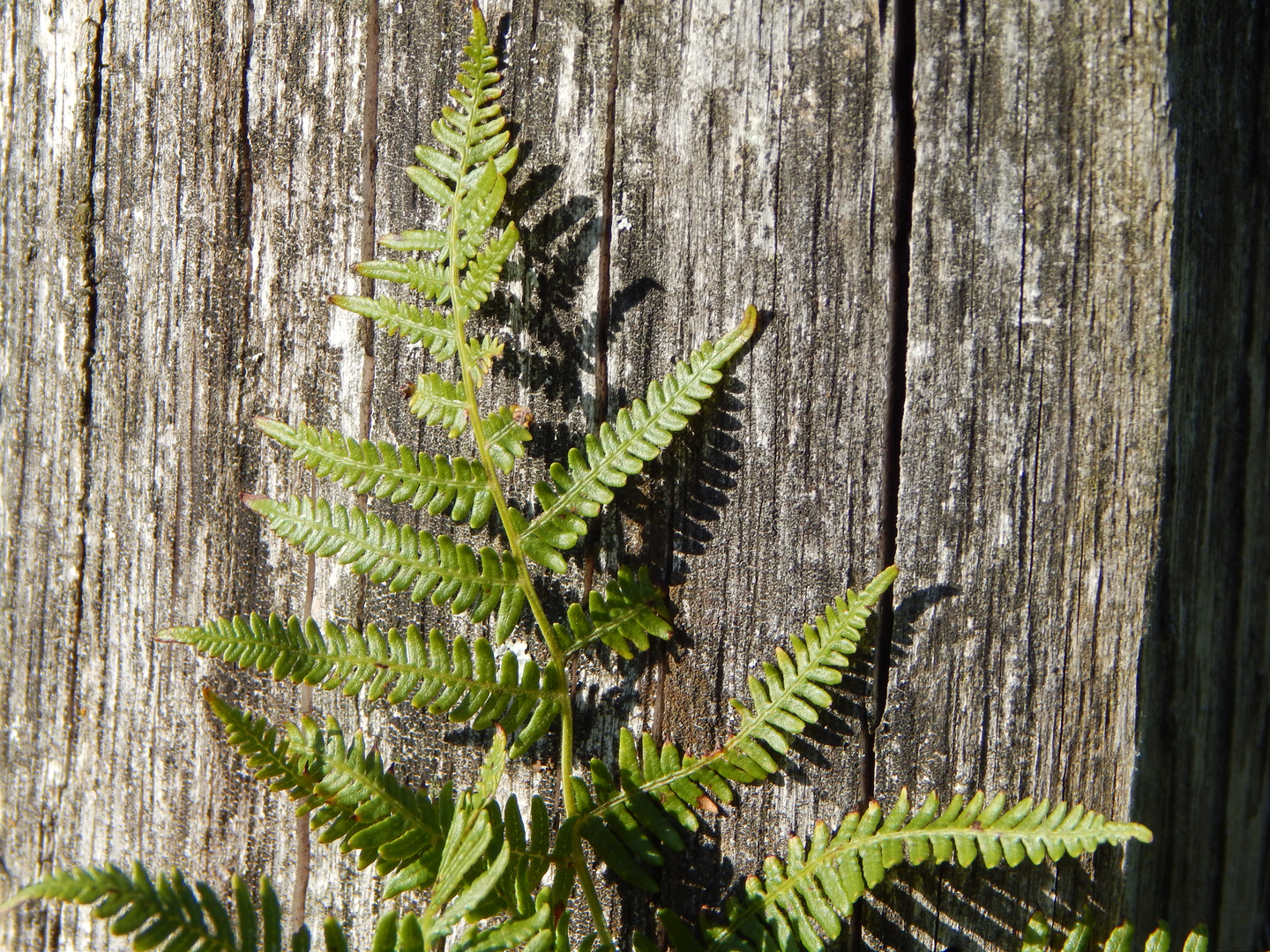 Leben und Tod