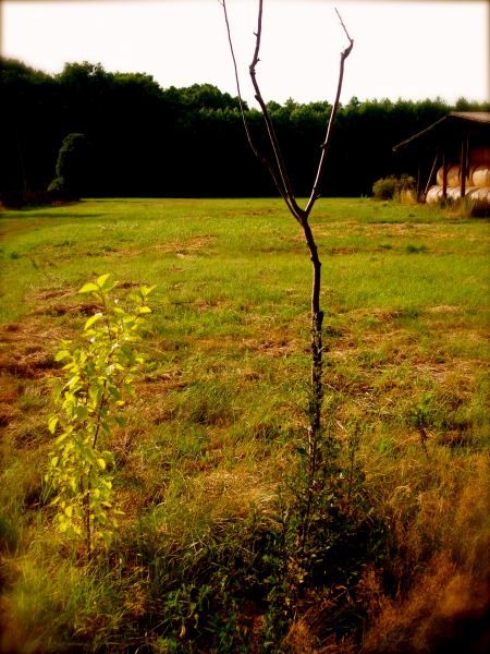 Leben und Tod