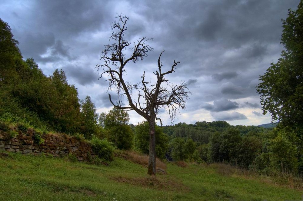 Leben und Tod