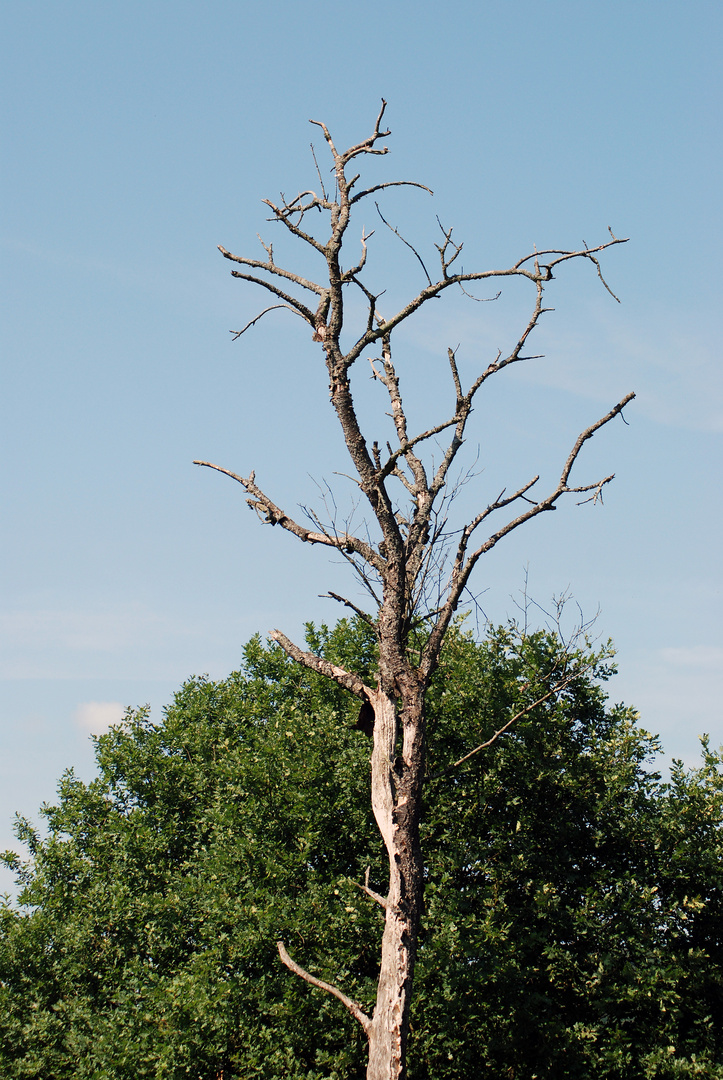 Leben und Tod