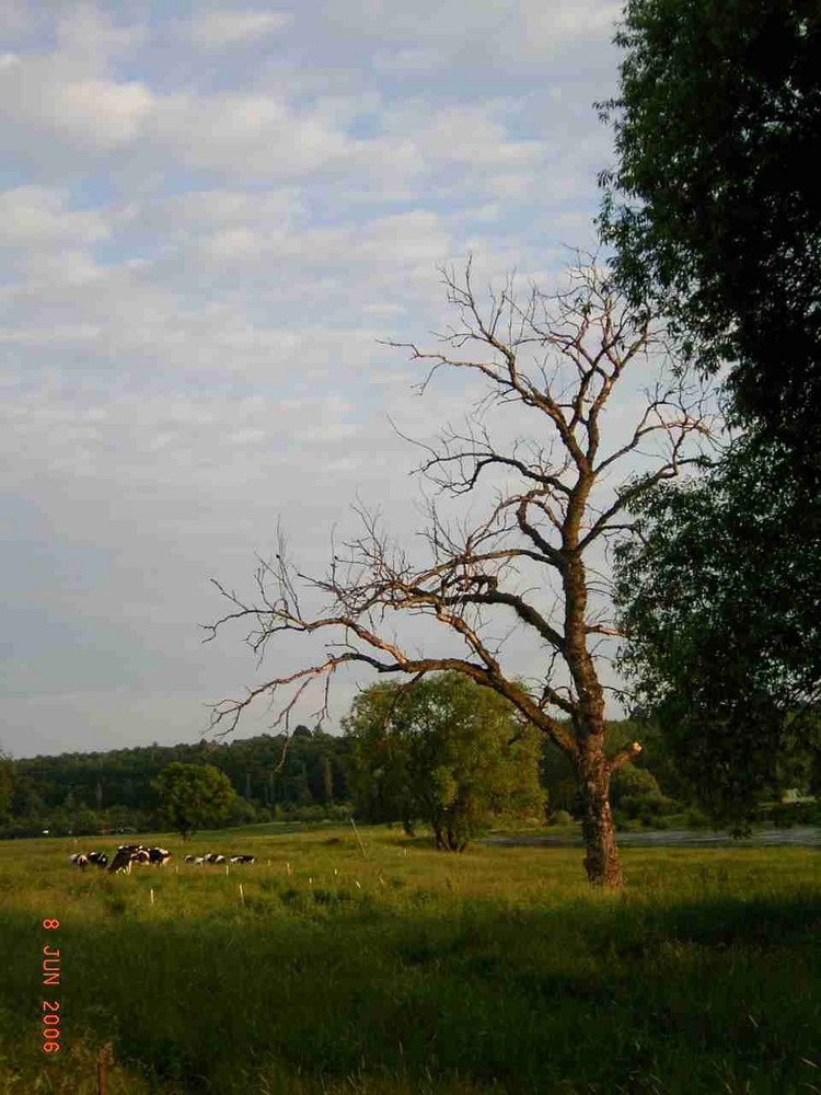 Leben und Tod