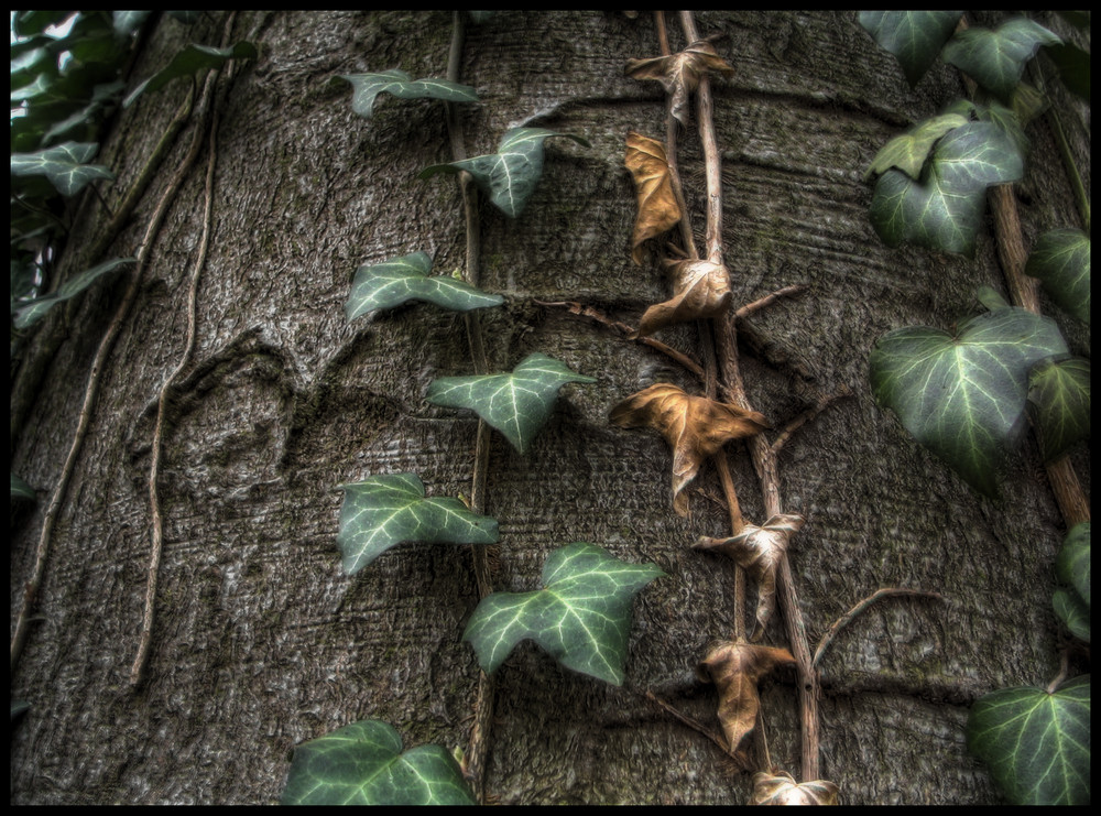 Leben und Tod