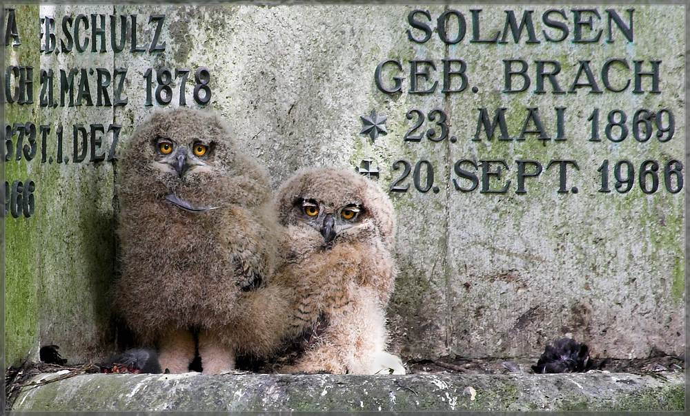 Leben und Tod...