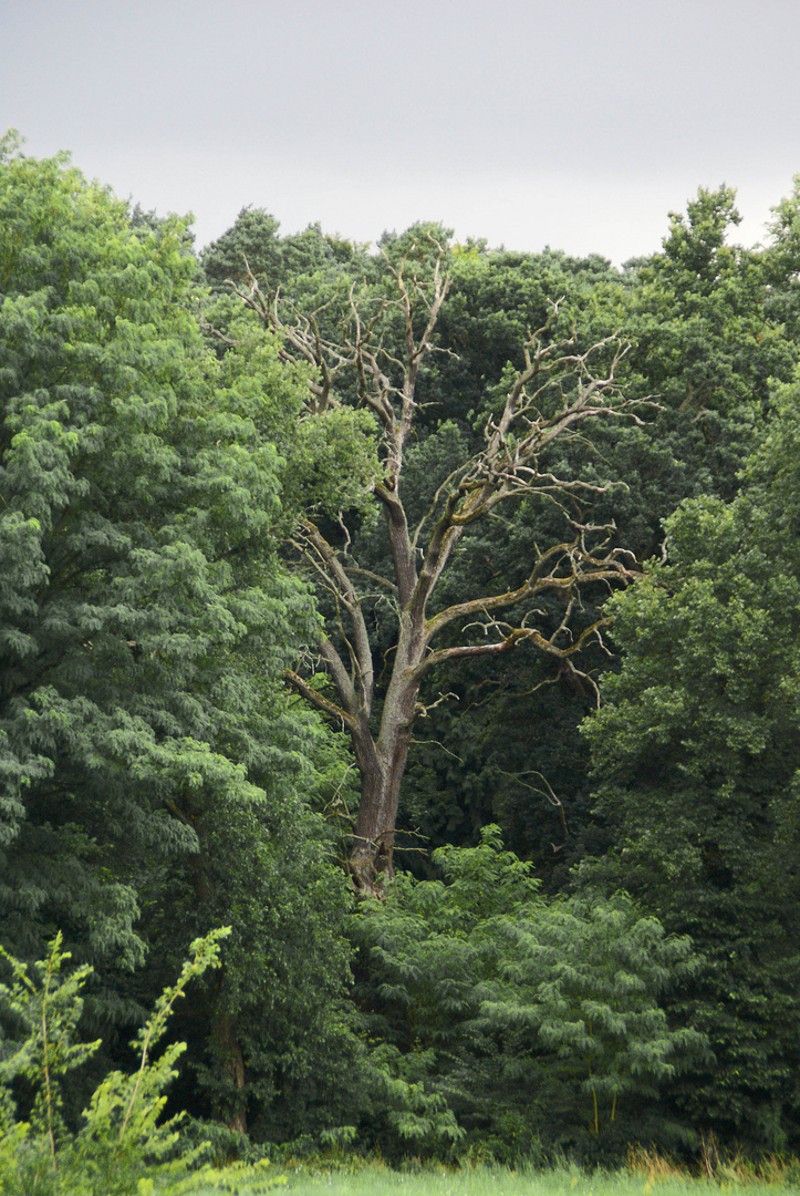 Leben und Tod