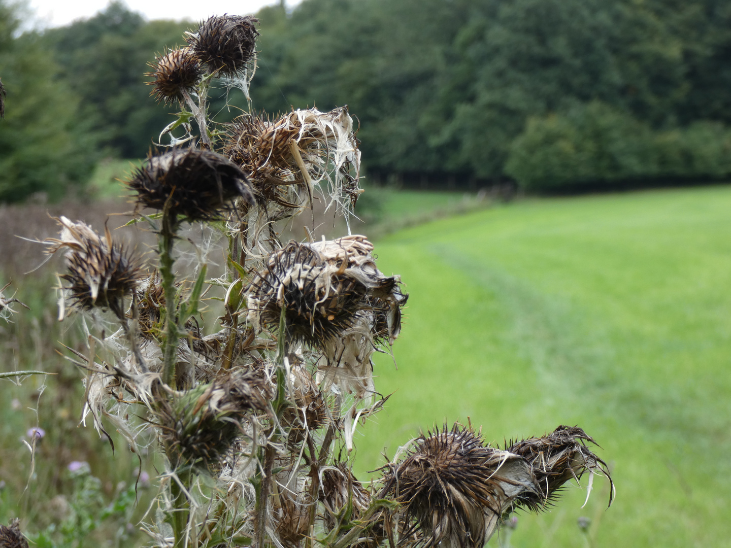 Leben und Tod