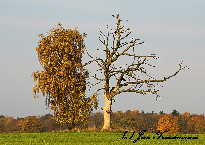 Leben und Tod nebeneinander