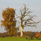 Leben und Tod nebeneinander