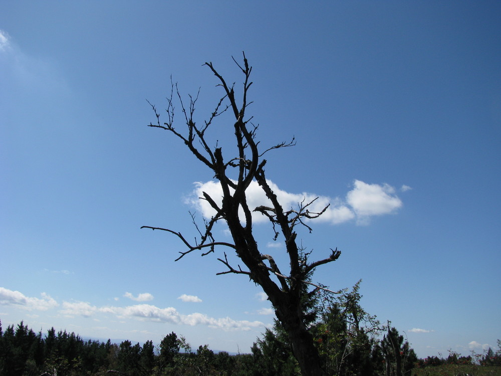 Leben und Tod zusammen